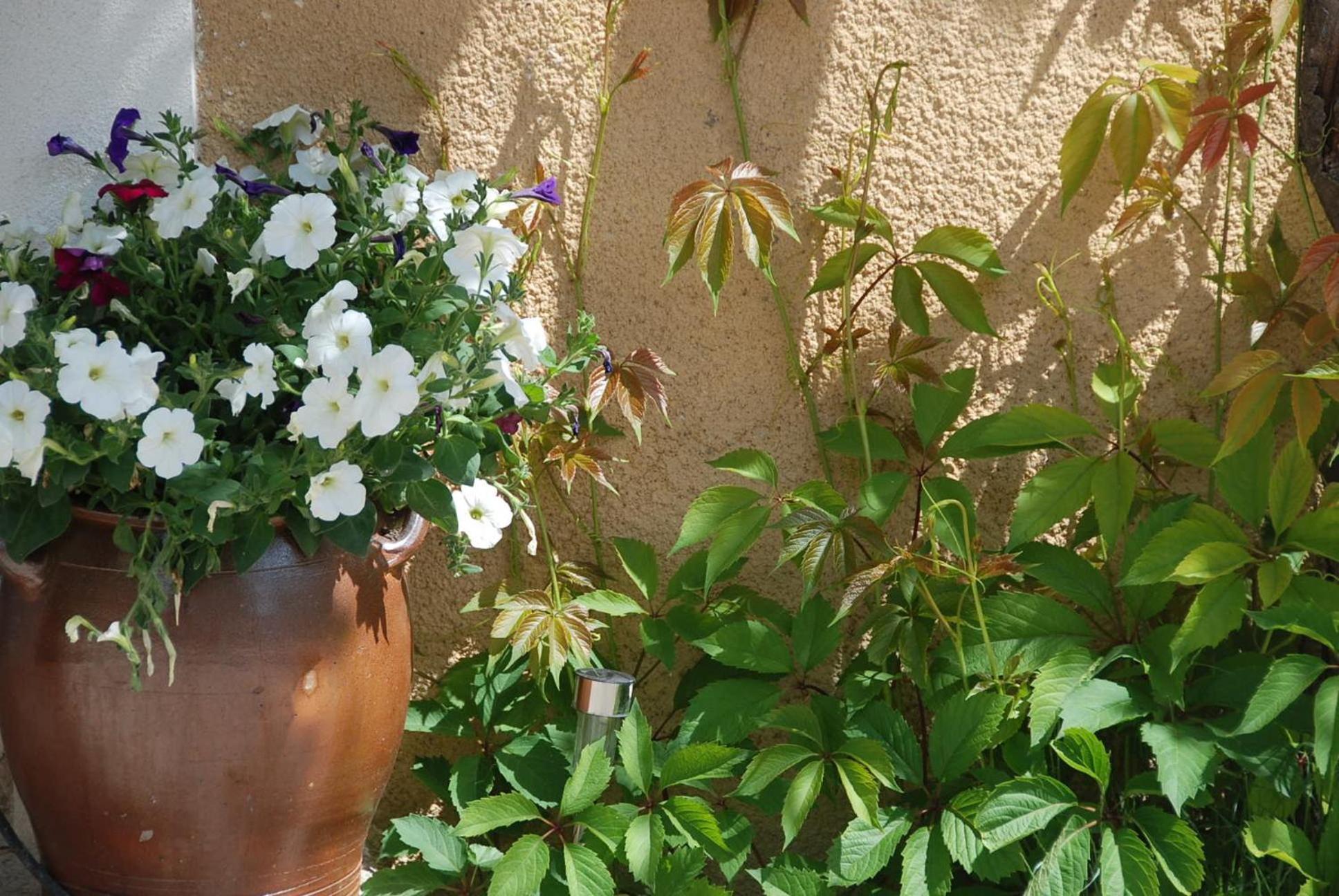 Le Domaine Saint Jean Bed & Breakfast Eksteriør bilde