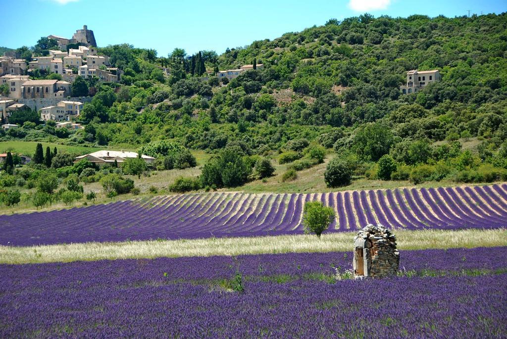 Le Domaine Saint Jean Bed & Breakfast Eksteriør bilde